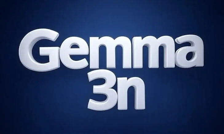 Image with the writing Gemma 3n